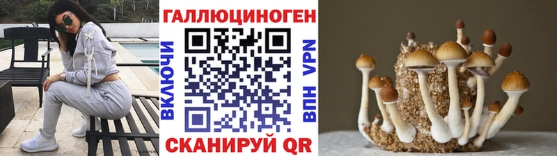 где можно купить наркотик  Зеленодольск  Галлюциногенные грибы GOLDEN TEACHER 