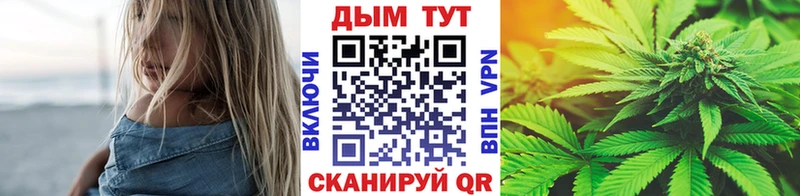 где продают   Зеленодольск  Бошки Шишки ГИДРОПОН 